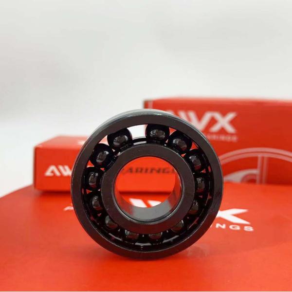 970309 Ceramic Bearings