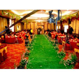 Professional Physical Indoor Synthetic Grass , Indoor Fake Grass Carpet