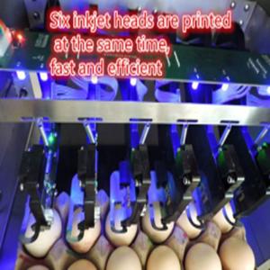 Easy Operation Egg Date Stamp Machine Can Spray Print 200000 Eggs With 45ml Ink