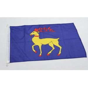 Where to Get Printed Fabric Advertising Flags with Grommets