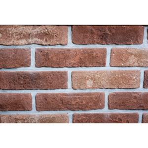 High Weather Resistance Rectangular Thin Veneer Brick with Low Environmental