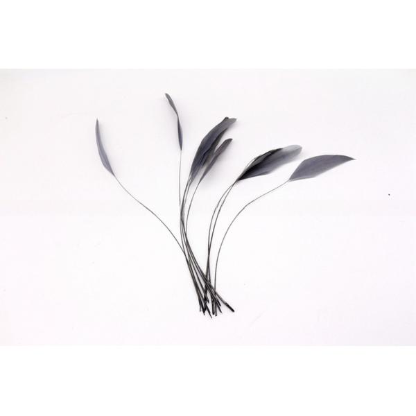 Stripped Rooster Coque Feather in Dyed Pattern for Chicken Feather Benefit
