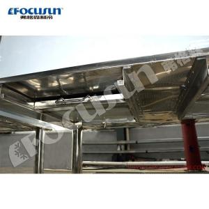 Bitzer Compressor 1000KG Ice Shape Hielo en Escama Machine for Seafood