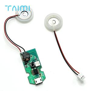 Piezo Ceramic Ultrasonic Atomizer Transducer For Facial Hydrating Beauty