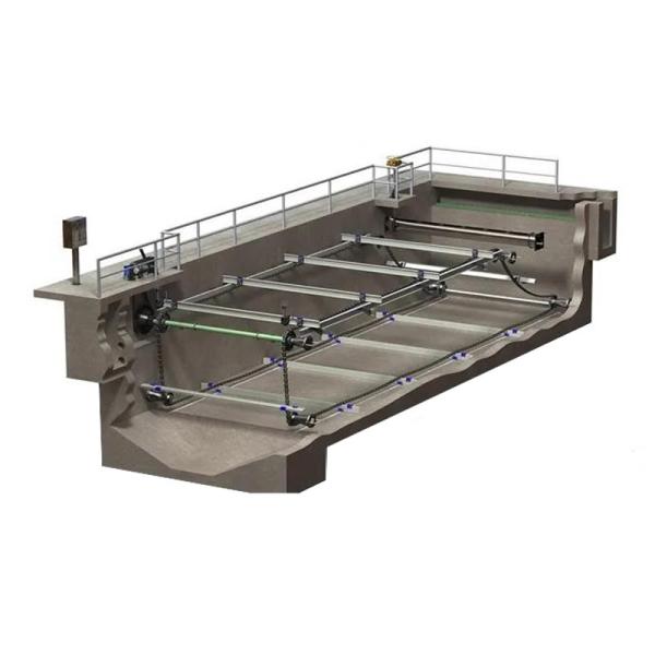 Quality Chain Plate Mud Scraper 304 Stainless Steel Chain Type Sludge Scraper for sale