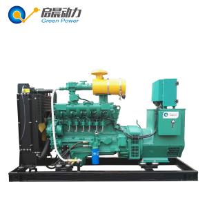 Biogas Electric Generator Biogas Power Engine Generator