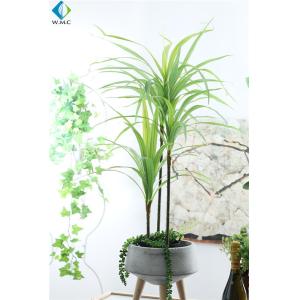 Dracaena Cinnabari Artificial Potted Plants , Green Dragon Tree Bonsai
