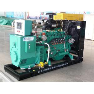 60kw 100kw Biogas Generator Set with Factory Price