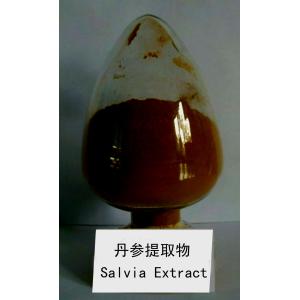 natural herbal extract of salvia extract china supplier --Salvia Miltiorrhizae