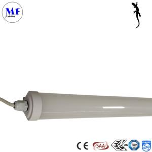 3 Years Warranty IP66 36W LED Tri-Proof Light With Large Luminous Surface For