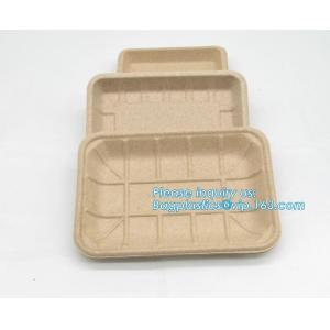 Biodegradable & Compostable 8 inchSquare sugarcane trays,sugarcane pulp
