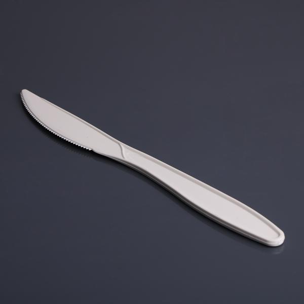 Pla Plastic Knife 18.5cm Biodegradable Disposable Tableware