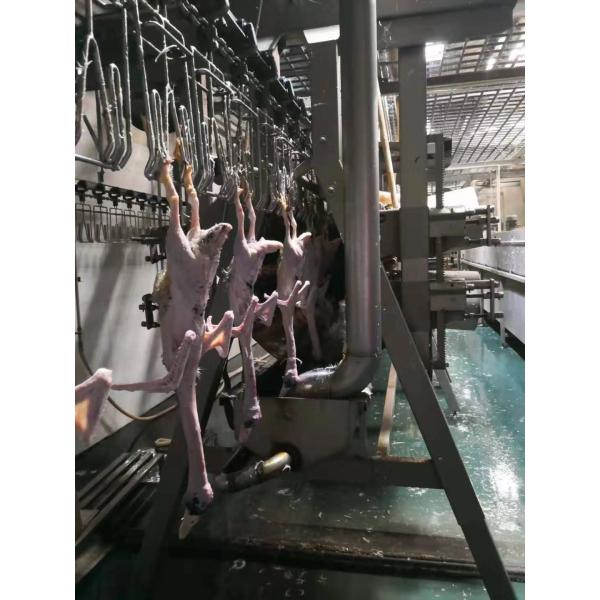 Streamline Your Chicken Processing with PLC Controlled Slaughtering Line and