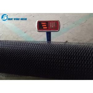 Dingzhou Factory, Hexagonal Wire Mesh, Chicken Wire Mesh