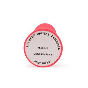 Rowgee Intelligent Dumbbell For Comprehensive Fitness Exercise Office