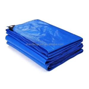 Wholesale Professional Team in Vietnam Fireproof LDPE Coated HDPE Woven Tarpaulin for Container from china suppliers
