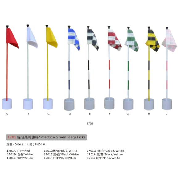 Practice Green Flags Ticks