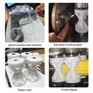 dehydrating machine Pet lyophilization fruit drying vegetable freeze dried