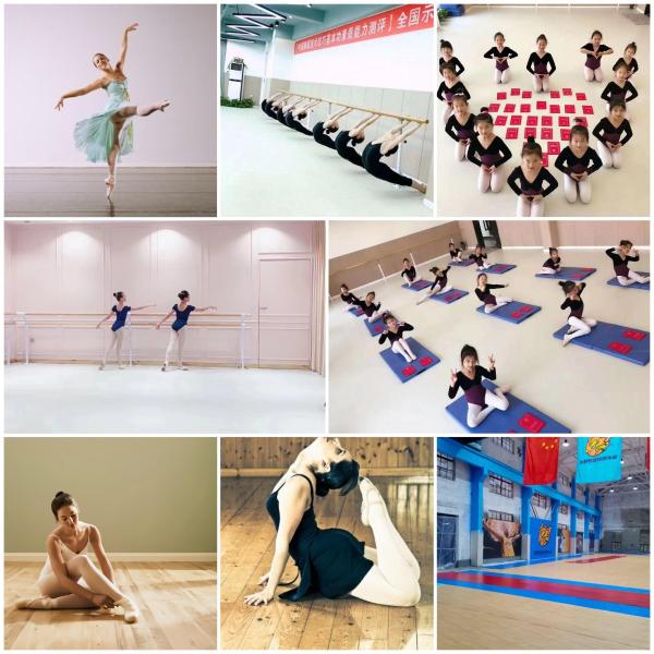 Relle Marley Ballet Dance Vinyl Flooring Roll for Home Availiable OEM Availability