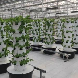 Vertical Hydroponic Aeroponic Growtower Sustainable Hydroponic System