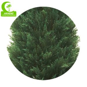 Durable 3.8m Artificial Topiary Tree Outdoor , Artificial Cypress Trees
