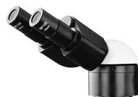 Economic Optical Light Microscope , Monocular Compound Light Microscopy