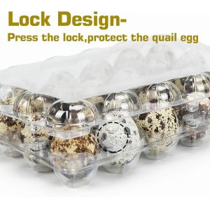 Small Plastic Egg Cartons - Clear 2 Dozen Quail Eggs Tray - Reusable Storage