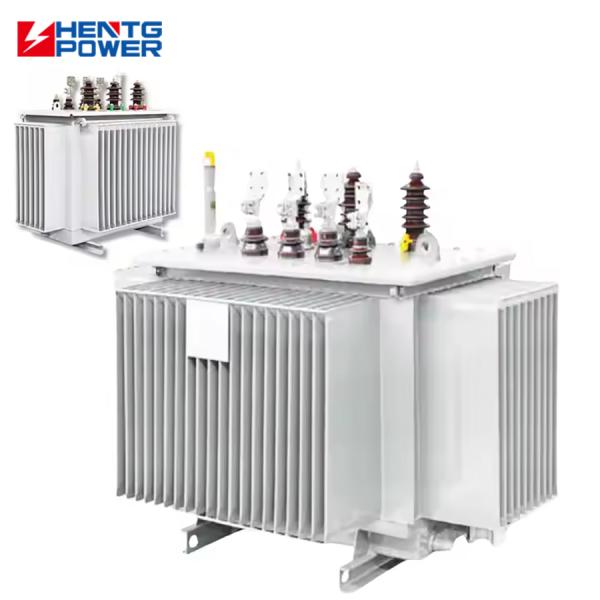 Quality Custom Step Down 22kV Oil Immersed Power Transformer with IP00-IP65 Protection and Layered Winding for Industrial Use for sale