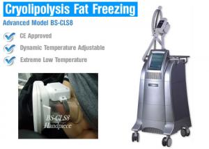 Wholesale Non Surgical Liposuction Cryolipolysis Body Slimming Machine , Vacuum Weight Loss Machine from china suppliers