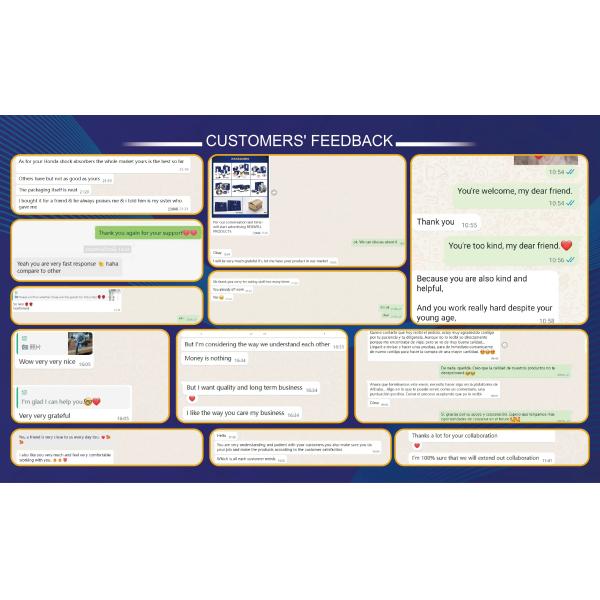 E6200-EB70C E6200EB70C Car Parts Rear Axle Shock Absorber for NISSAN NP300 NAVARA