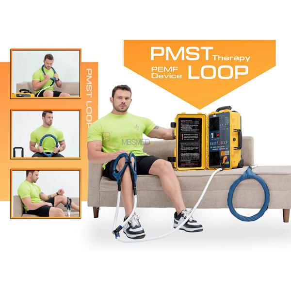 Magnetotherapy Pemf Loop Mat Terahertz Magnetic Therapy Device