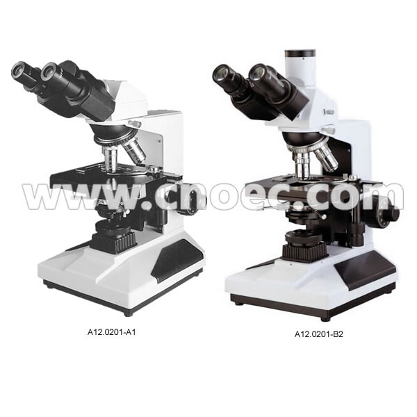 Binocular Head Plan Achromatic Objective Biological Compound Microscope 1000X