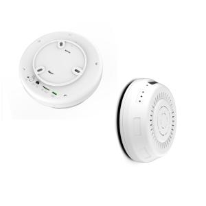 HD1080P Motion Activated Smoke Detector Camera