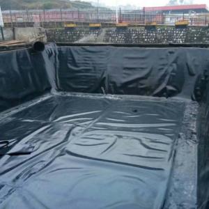 Directly Sells Tear Resistant Geomembrane Fish Pond Liner 0.5mm 1mm 2mm for