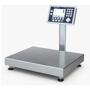 Stainless Steel Construction for Hazardous Environments ICS689-CC300 Intrinsical