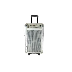 10'' Portable Trolley Speaker Subwoofer Audio DJ Trolley Speaker Box For Disco