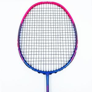 Dmantis D7 Model Wholesale Professional Level Equipment Badminton Racket China