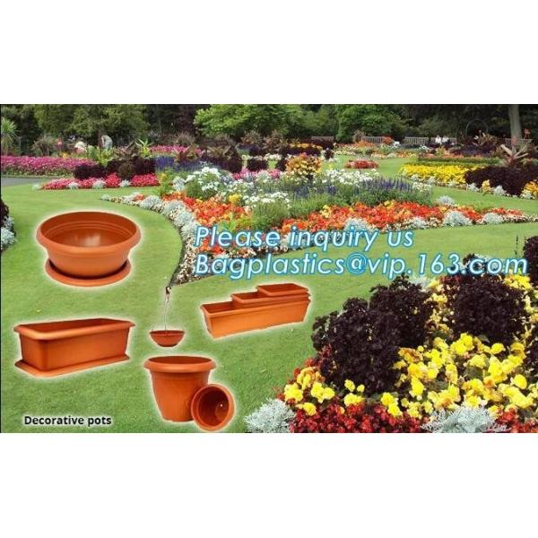 Quality mini plastic nursery pots flower pots for herb seedling,cheap price black plastic nursery pots flexible soft pot, seedli for sale