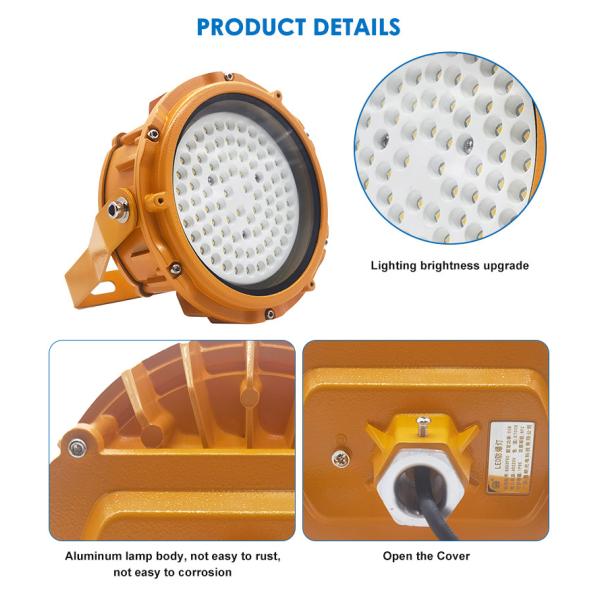 Waterproof IP65 Industrial Explosion Proof Lighting Fixtures Flood Light AC85-265V/ 50Hz 60Hz