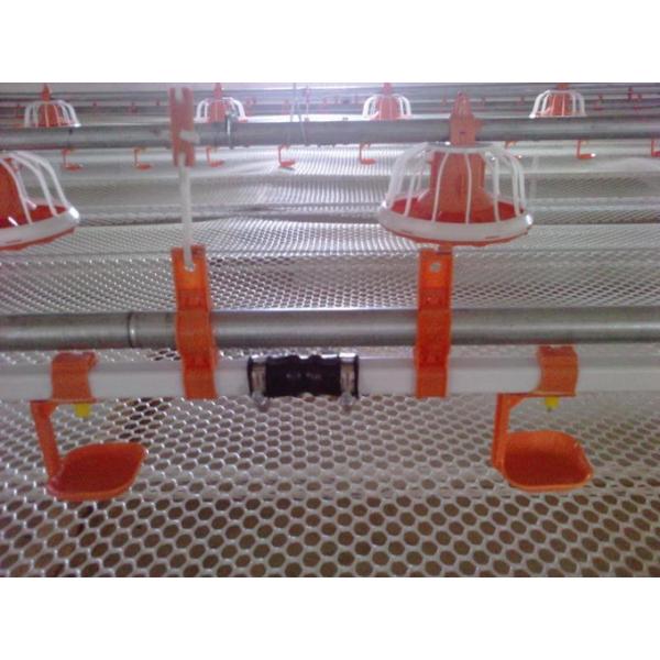 Chicken birds lubing nipple drinker for quail poultry farm water system China price