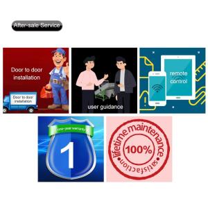 Pine Nut Optical Color Sorter With High Resolution CCD Image Acquisition System