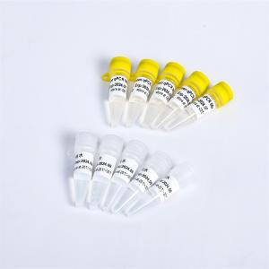 Power Green qPCR Mix for DNA real time PCR