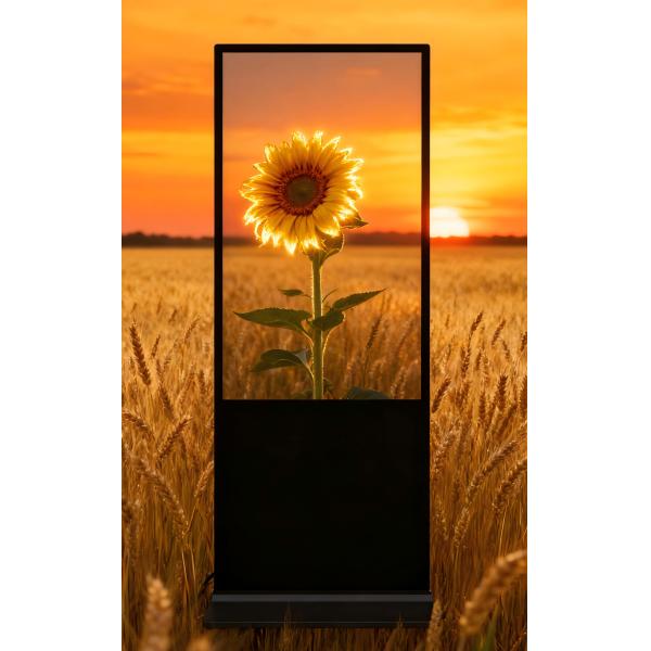 Quality 16 9 Display Scale Floor Standing Digital Signage Run Memory DDR3 1GB/2GB Support Horizontal/Vertical Installation for sale