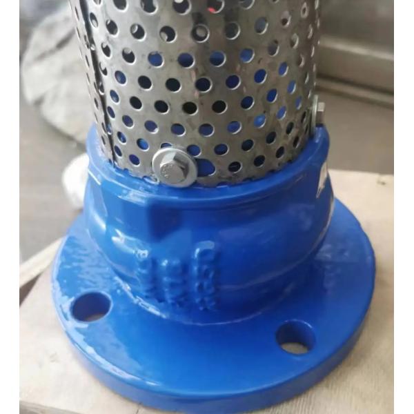 GGG50 H42X cast iron flanged foot valve manufacturer in China