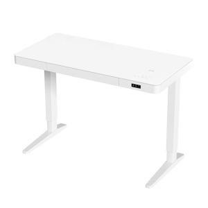 100 V/Hz Glass Mobile Electric Height Adjustable Computer Desk for Modern Office
