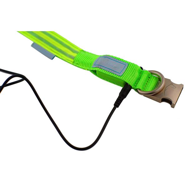 Metal Buckle LED Dog Collar USB Rechargeable Maximize Dog's Visibility