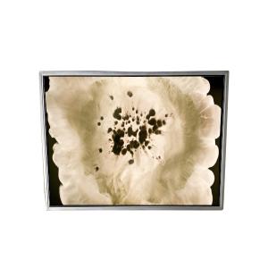 NL256204AM15-02A LCD Screen for Medical Imaging