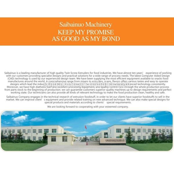 Automatic Dog Cat Pet Food Extruder machine Processing Plant equipment production line