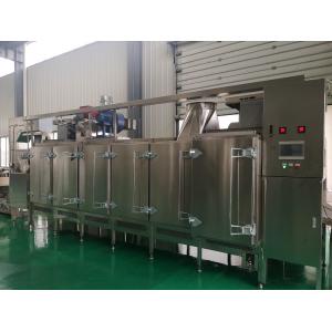 Multifunctional Continuous 14.6kw Nut Roasting Equipment