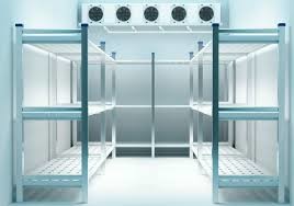 Low Temperature Quick Freezer Chiller Cold Room Fish Cold Storage Room For Meat